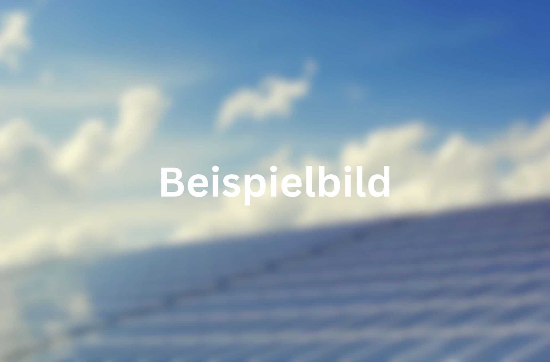 Beispiel-Bild