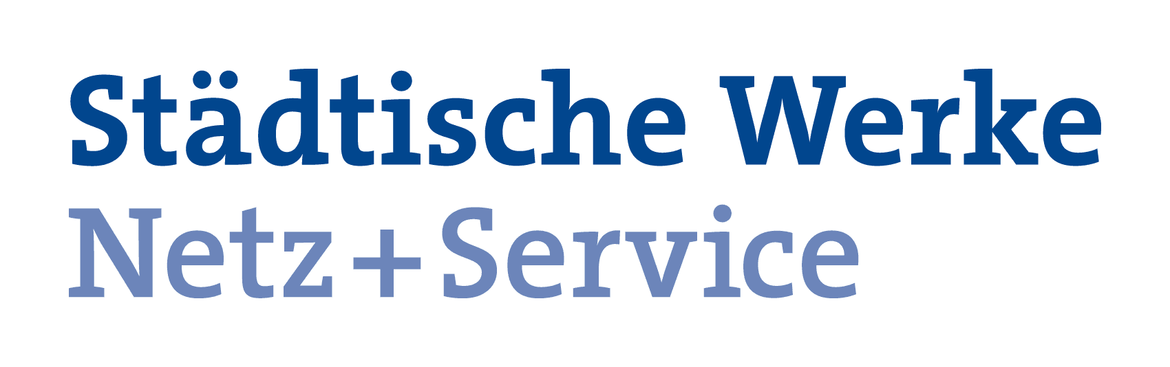 Logo Netz + Service
